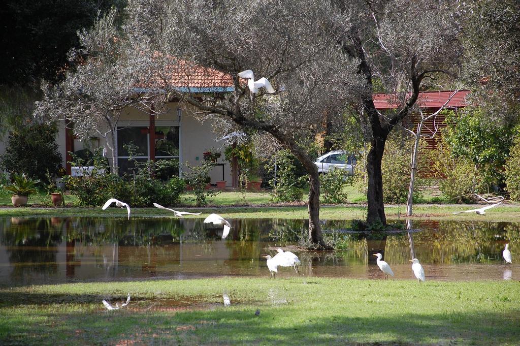 Ein Zurim Guest House 'En Zurim Esterno foto